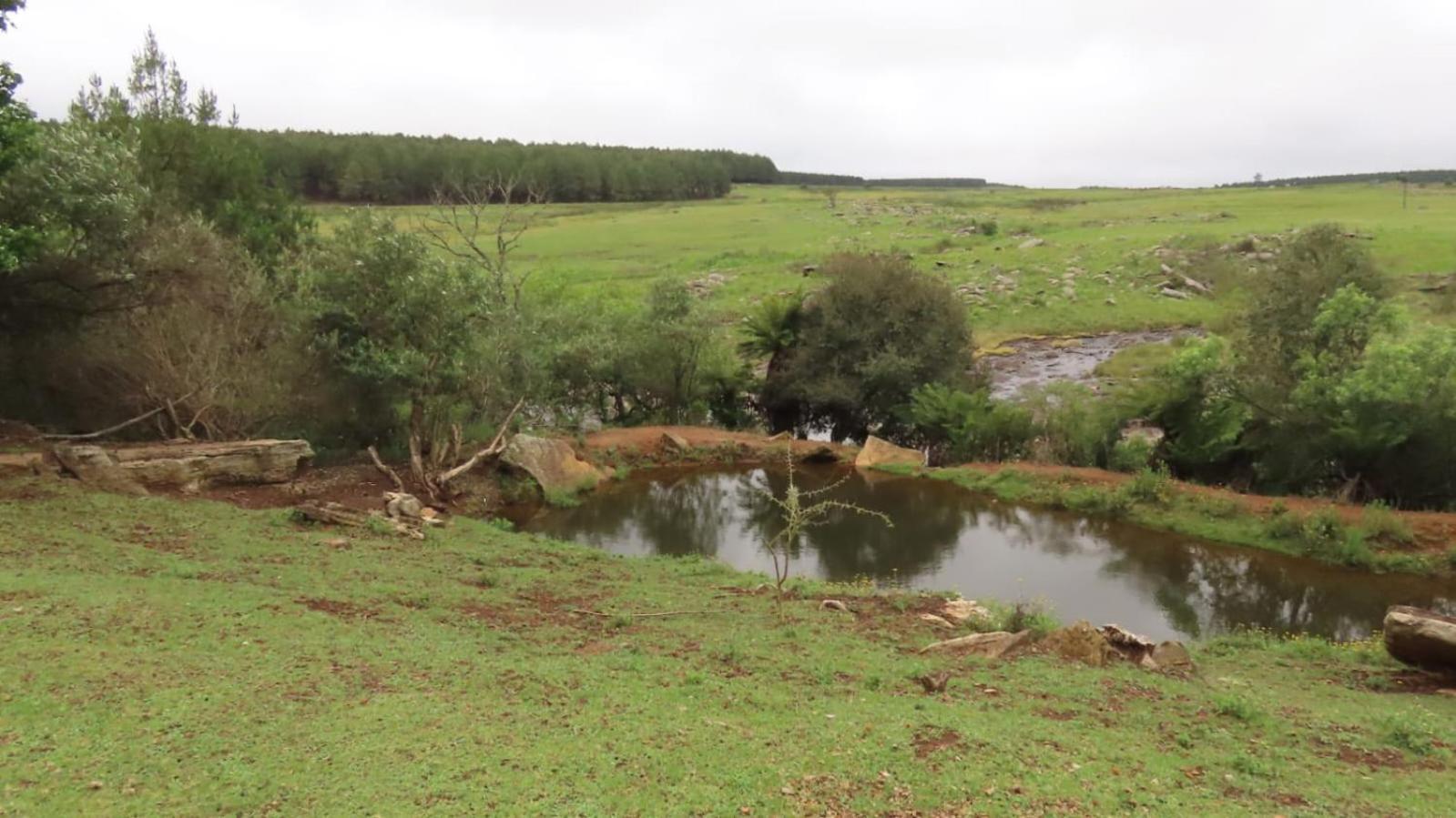 גרסקופ Lisbon Eco Lodge מראה חיצוני תמונה